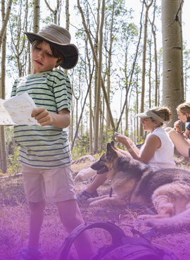 horse riding lesson events