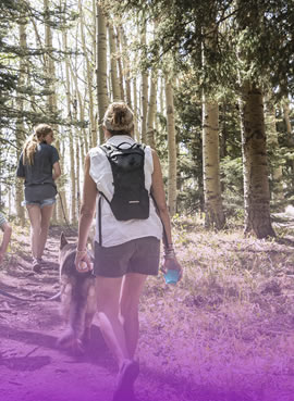 horse riding lesson events