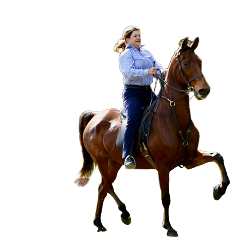 horseback riding lessons