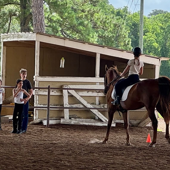 horse riding lessons