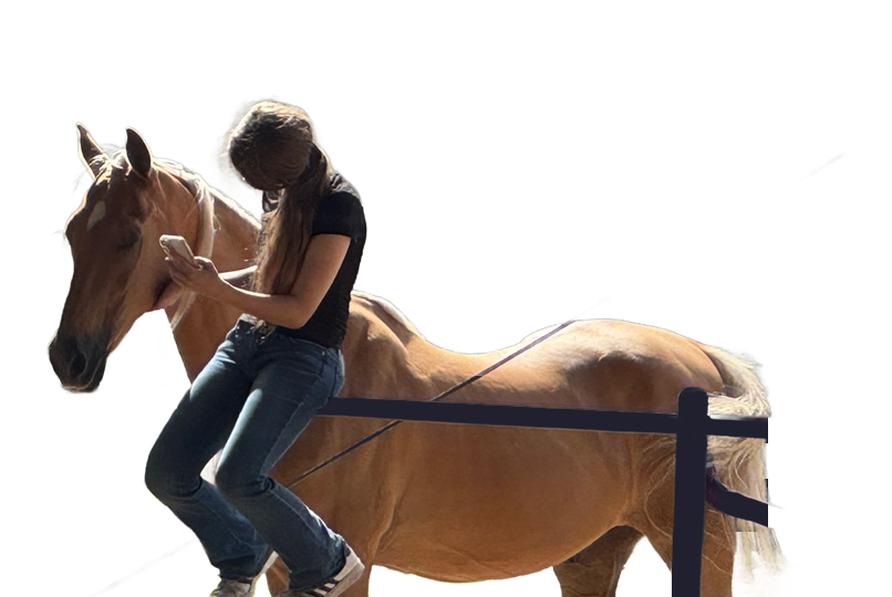 horse riding lessons for kids