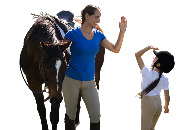 bethel-stables-horse-riding-lessons-and-stables-in-houston-tx